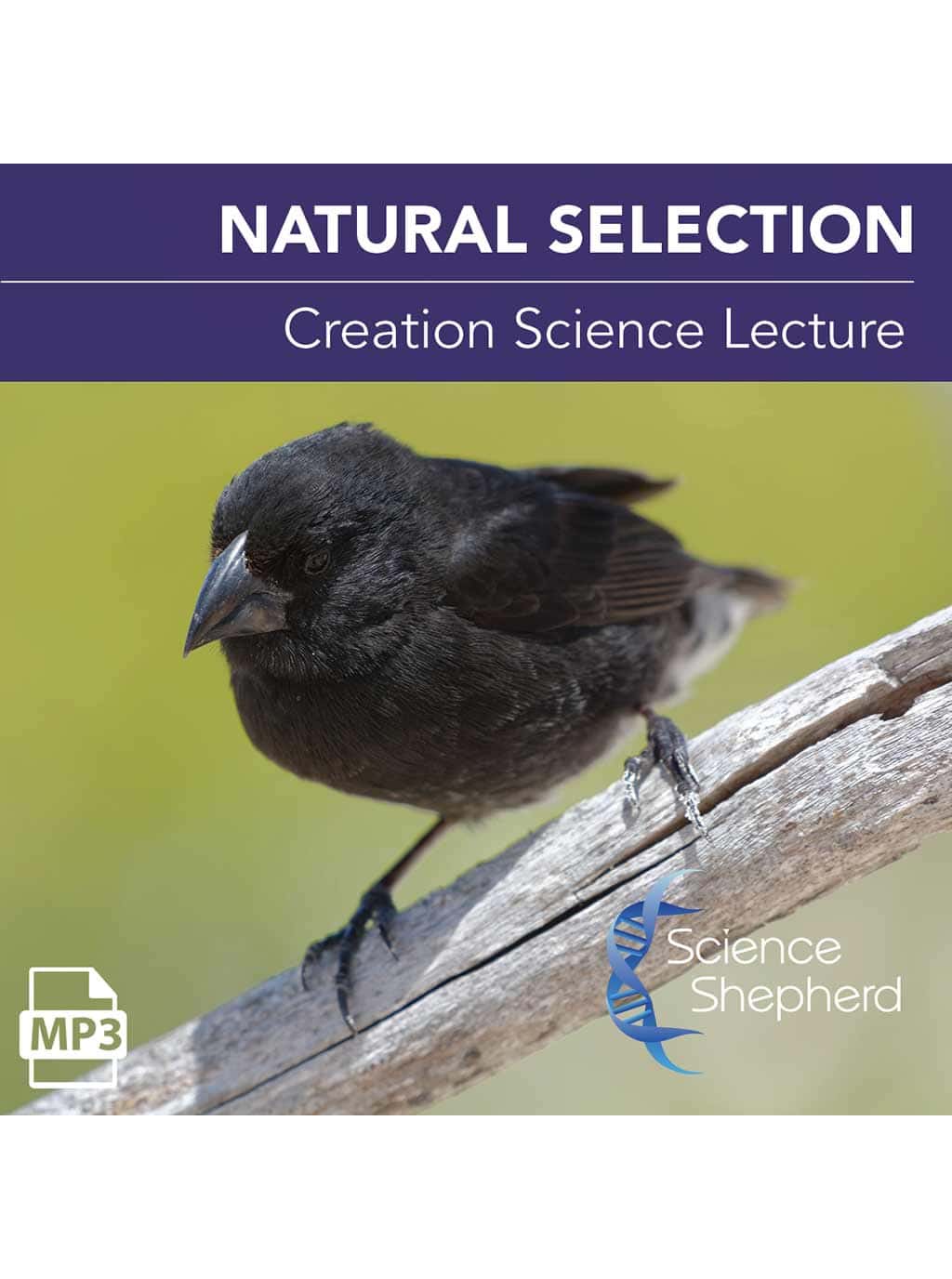 Science Shepherd Biblical Science Curriculum Lecture "Natural Selection" cover of finch