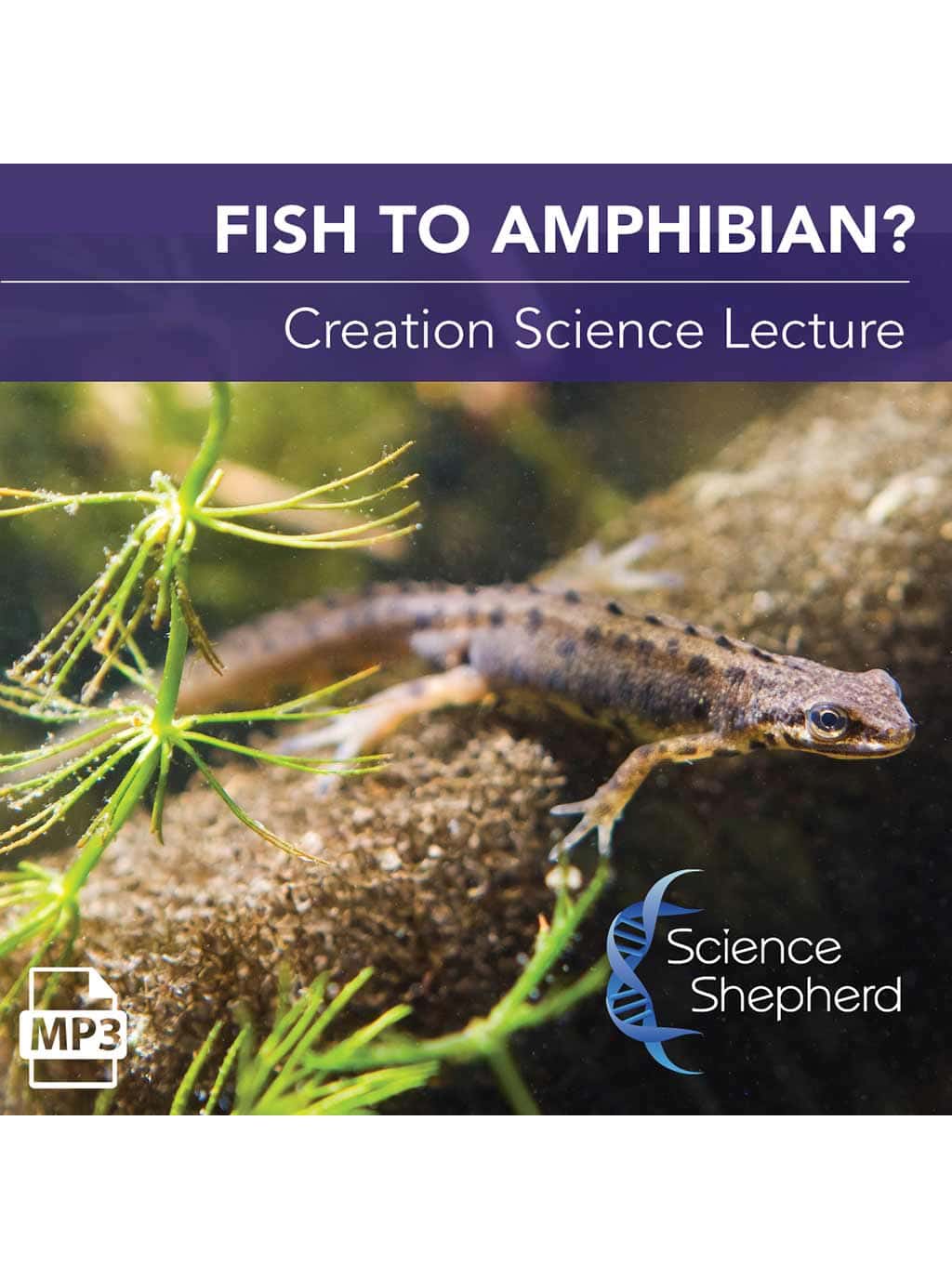 Creation-based science curriculum mp3 lecture Fish to Amphibian? cover