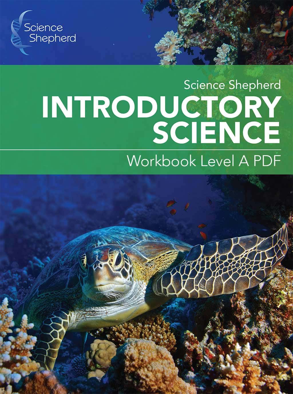 Homeschool Introductory Science curriculum online Workbook Level A PDF cover of a turtle underwater