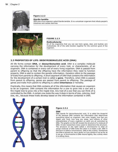 Science Shepherd best homeschool science curriculum Textbook chapter 2 sample page